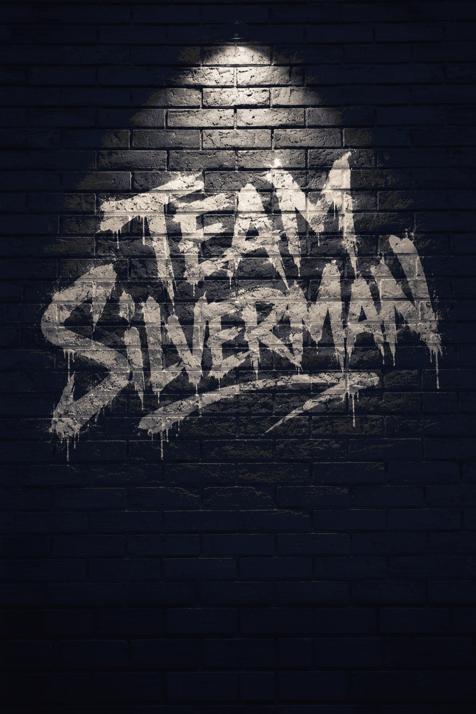TEAM SILVERMAN💫